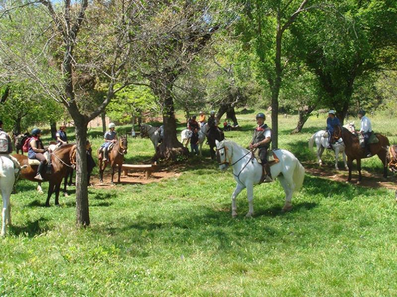 فوينتيئيريدوس Casa Tinoco Casa Rural Categoria Superior المظهر الخارجي الصورة